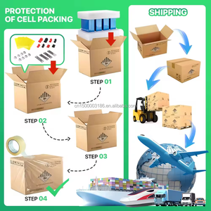 Литий-ионные батареи Gotion, призматические батареи класса 3,2 В, LFP, 30Ah, 105Ah, 300Ah, 314Ah, 314, 330Ah, 340Ah, 350Ah, 355Ah, Lifepo4 - Product Image 3