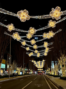 LED 조명 거리 대형 조명 장식 2026 쇼핑몰 호텔 장식 - Product Image 6