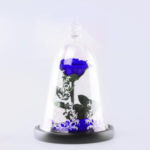 TC vendita calda conservato rosa In vetro cupola di bellezza <span class=keywords><strong>e</strong></span> la bestia decorazione per la casa durevole scatola regalo rosa di san valentino regalo per lei - Product Image 5