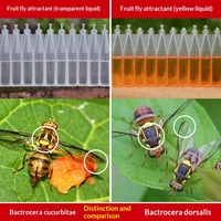 Piège à mouches des fruits réutilisable pour vergers et jardins en plein air |   Attrape-mouches durable résistant aux intempéries |   Contrôle des nuisibles écologique