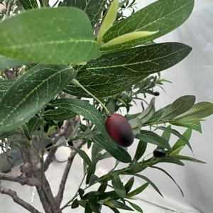 Tronco de olivo grande desmontable personalizado de gama alta tela de seda de alta calidad bonsái Artificial decoraciones interiores Navidad 10 pies - Product Image 4