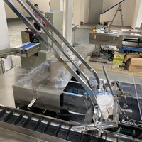 Machine d'emballage à grande vitesse pour la soupe au poulet et au poulet