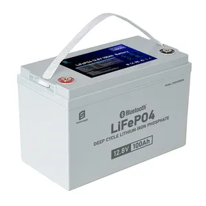 Batteria BMS 12V Lifepo4 batteria 12.8V 7Ah 10Ah 20Ah 40Ah 50Ah 100Ah 150Ah 200Ah 300Ah 400Ah agli ioni di litio