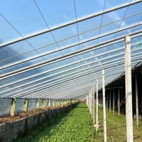 Film de diffusion PO en promotion pour serres agricoles, film plastique anti-brûlure solaire pour la culture des légumes