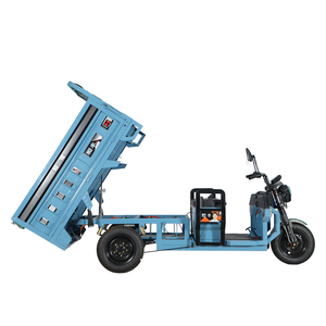 Triciclo eléctrico al por mayor 1000W 48V Vintage 3 ruedas eléctrico para adultos - Product Image 1