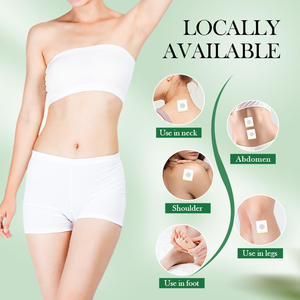 2026 Heißer SADOER Kräuterextrakt Gewichtsverlust Körper-Schönheits-Formung Fettverbrennung Schlankheits-Flachbauch-Pflaster - Product Image 1