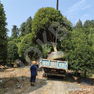 HOKBG-Bolsa de cultivo de maceta de tela tejida de polipropileno anti-UV, resistente, 75 galones, proveedor de vivero, bolsa de jardín para árboles - Product Image 4