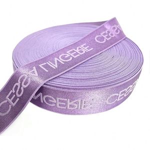 Factory Wholesale Shiny Customized Elastic Band for Underwear and Clothing Durable <b>Webbing</b> Product - Product Image 2