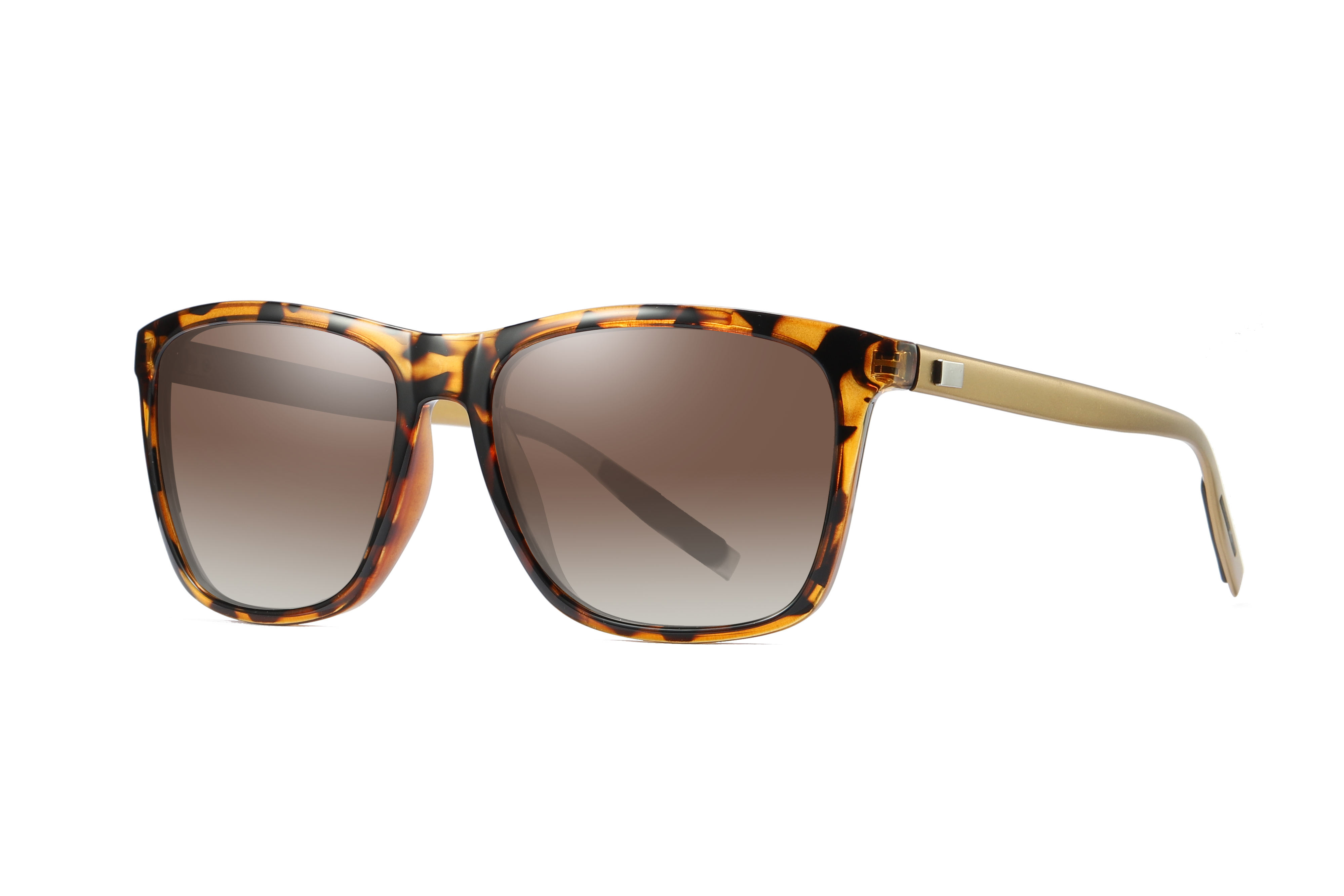 กรอบดอกถั่ว เลนส์ชาคู่