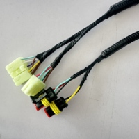 Harness Kabel OEM/ODM yang Dapat Disesuaikan untuk Mobil Golf Listrik & Otomotif dengan Isolasi PBT - Produsen Profesional