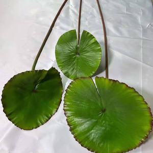 Holesale monstera-plantas artificiales de plástico, hojas de palmera tropical, hojas de plátano para decoración del jardín del hogar - Product Image 5