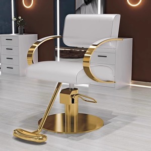 Sedia da Parrucchiere per Donna in Offerta, Sedia da Barbiere con Schienale Regolabile per Salone di Bellezza - Product Image 4