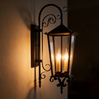 Lampe murale extérieure de jardin rétro noire de grande taille E14 * 3, étanche, lampe murale LED rétro pour villa, cour, couloir extérieur