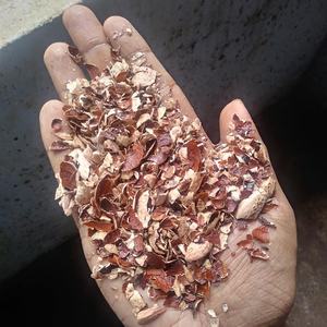 Offres Spéciales CASHEW HUSK 3-10mm Marron 10% Humidité GGN Marque MOINS CHER PRIX 2025 - Product Image 1