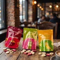 Op maat bedrukte geurbestendige ziplock stand-up pouch verpakking voor gevriesdroogd fruit en gedroogde groenten snacks, mylar zak met logo