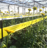 Rouleau adhésif jaune pour insectes de 20 cm x 100 m, ruban adhésif double face pour les pucerons et les mouches blanches en serre et à la ferme