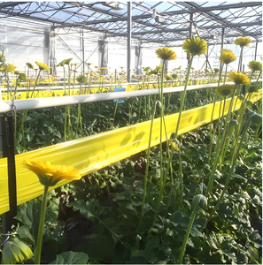 Rollo de <span class=keywords><strong>Cinta</strong></span> Adhesiva Amarilla de 20 cm x 100 m, <span class=keywords><strong>Cinta</strong></span> de Doble Cara para Insectos, para Pulgones y Moscas Blancas en Invernaderos y Granjas - Product Image 4