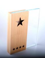 Nouvelle conception écologique en verre et cristal, trophée souvenir créatif pour réunion annuelle d'entreprise avec logo personnalisé et boîte cadeau