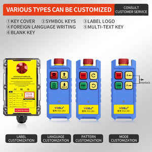 Palan électrique de levage sans fil à vitesse unique résistant aux chutes <span class=keywords><strong>F21</strong></span>-<span class=keywords><strong>2S</strong></span> + étanche avec télécommande de station de commutation - Product Image 3