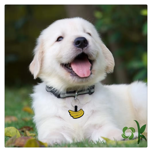 OKSILICONE personalizzato a forma di Banana in Silicone Pet Tag con portachiavi accessori <span class=keywords><strong>per</strong></span> animali domestici <span class=keywords><strong>per</strong></span> doppia faccia stampato cane gatto nome ID - Product Image 3
