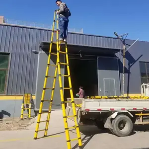 Isolados de espinha de peixe lesma escada escada telescópica escada do eletricista