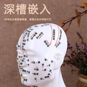 Modèle d'acupuncture de tête haute définition avec points gravés, visage complet en PVC, pour démonstration pédagogique, réutilisable, pour exposition - Product Image 4