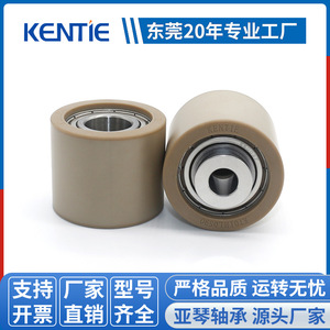 S6003ZZ Assembly High Load-Bearing Flat Roller <b>Pulley</b> Coated with Bearing Special Engineering Plastic Wear-Resistant PEEK - Product Image 3