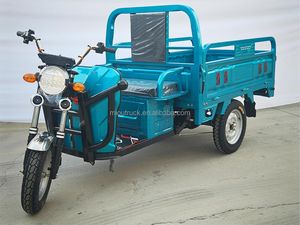 ECE 600W Differential Motorized Open Body Large Screen Digital Instrument Panel Electric Tricycle for Cargo Use - Product Image 3