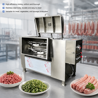 Mélangeur Électrique pour Remplissage de Saucisses, Mélangeur de Viande, Mélangeur de Refroidissement, Mélangeur d'Assaisonnements pour Légumes, Machine à Mélanger les Poudres à Double Roulement