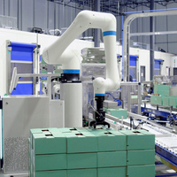 Ligne de palettisation robotisée collaborative intelligente en acier inoxydable pour l'emballage de cartons, haute capacité