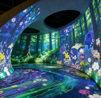 Projection de cartographie 3D en forêt en plein air avec projecteur vidéo holographique pour une affichage immersif
