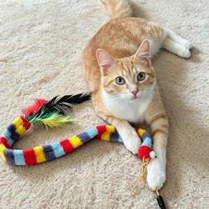 Rainbow Caterpillar Interactive <b>Plush</b> Chew Teaser Toy <b>Cats</b> Eco-Friendly Safe Cartoon Pet <b>Cat</b> Toy for <b>Cat</b> - Product Image 3