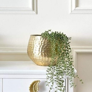 Maceta Metálica Moderna Minimalista de Alta Demanda con Acabado Mate para Decoración Contemporánea del Hogar u Oficina, Disponible para la Venta - Product Image 2