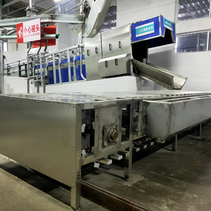 Système complet d'étourdissement et de purge de porcs pour abattoir : Étourdisseuse électrique automatique à trois points haute efficacité - Product Image 6
