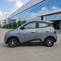 Voiture électrique compacte au design moderne, 4 places, pour personnes âgées et femmes, facile à stationner