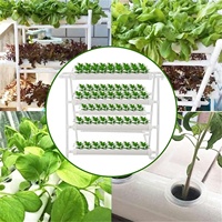 Système hydroponique miniature en ABS de qualité alimentaire sans BPA, jardin d'herbes aromatiques de bureau pour la maison et les enfants