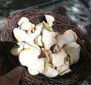 Trung Quốc cung cấp số lượng lớn tính năng kiềm rau củ cải rhizome khô brassica rapa var rapa gốc lát để bán - Product Image 3