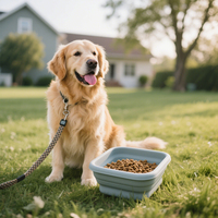 Bol d'alimentation en eau et en nourriture pour chien en silicone pliable personnalisé et écologique pour l'extérieur