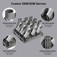 Service d'impression 3D de composants de vélo en titane, y compris des patins de cadre, par SLM/DMLS sur mesure