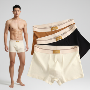 Servizio OEM per Biancheria Intima Maschile con Logo Personalizzato, Produzione all'Ingrosso di Boxer da Uomo in Cotone - Product Image 1
