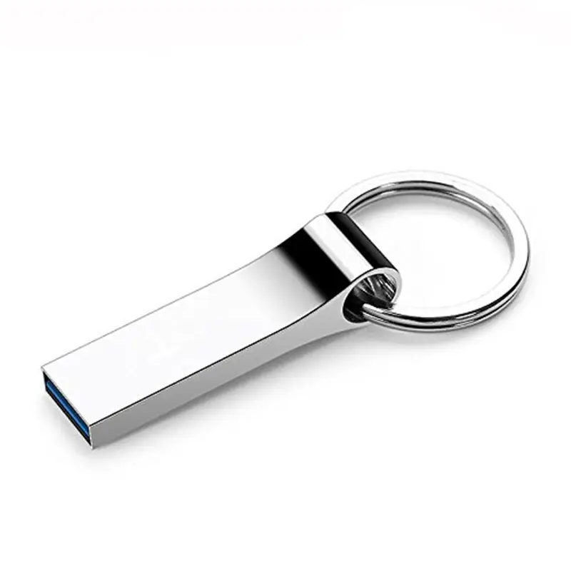 Custom Laser Logo 64Gb Metalen Sleutel Pendrive 64Gb Waterdichte Pen Drive Usb 2.0 Stick Memory Stick Usb Flash drive