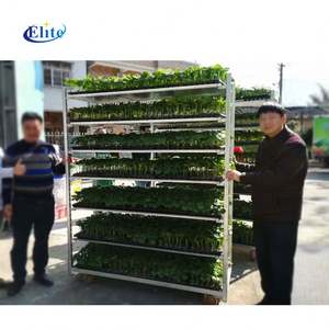 Thermisch Verzinkt Gaas Deens <span class=keywords><strong>Trolley</strong></span> Voor Tuincentrum Bloempot Transport - Product Image 5