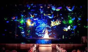 نظام عرض ثلاثي الأبعاد, نظام عرض ثلاثي الأبعاد للمسرح ، رقائق/رقائق هولو لحفلة ثلاثية الأبعاد ، إطلاق المنتج - Product Image 4