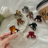 Vente en gros de petites pinces à cheveux en acétate de style français, pinces à cheveux mignonnes et élégantes, mini pinces à cheveux personnalisées pour femmes