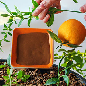 Fertilizzante Organico Agricoli Seaworth, Polvere di <span class=keywords><strong>Acido</strong></span> Fulvico 100% Puro per <span class=keywords><strong>Agricoltura</strong></span> e Orticoltura - Product Image 2