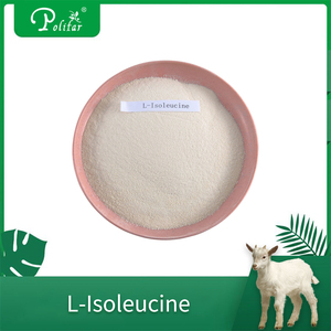 <span class=keywords><strong>L</strong></span> polvere di <span class=keywords><strong>l</strong></span>-leucina di aminoacidi per uso alimentare - Product Image 4