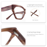 Montures de lunettes en acétate unisexe de haute qualité femme et homme classique oeil de chat optique conception d'ordinateur coloré