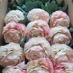 Ranunculus rosa y blanco, flor de simulación de ensueño, decoración de boda, se puede reutilizar y nunca se marchita - Product Image 1