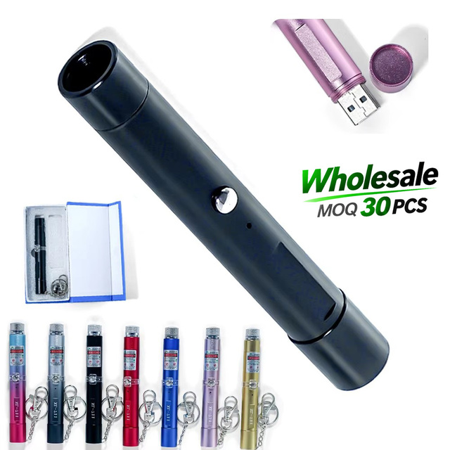 Wholesale Premium Mini Green Laser Pointer with Direct Charging | Keychain Design for Classroom Teaching and Presentations