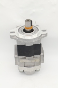 ZHENYUAN Hydraulikpumpe SDY1 SDY DDG SDB SD1 Zahnradpumpe SDY1-275L896 - Product Image 6